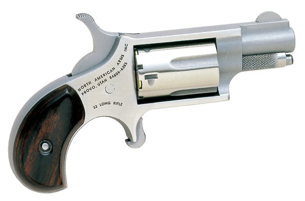 NAA 22LR 1 1/8 SS - Taurus Savings